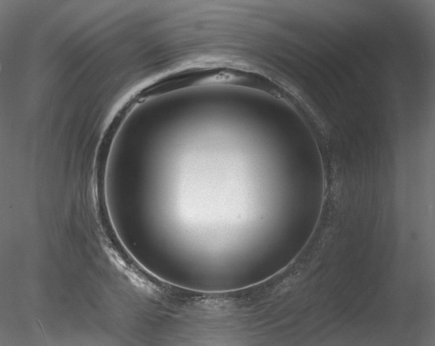 X0000078280888200611031205