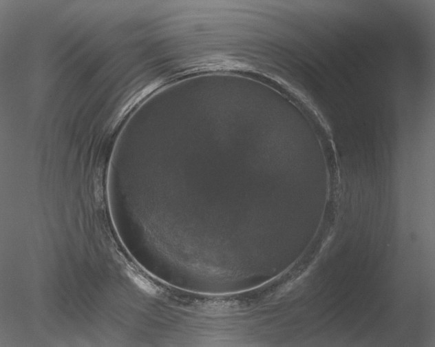 X0000078280889200611031205