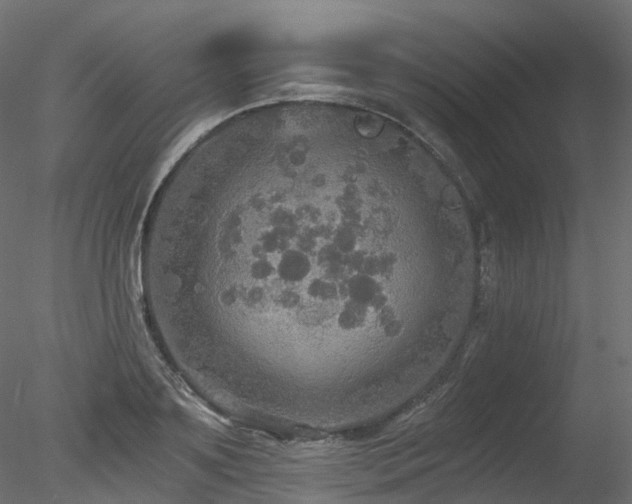 X0000078280891200611031205