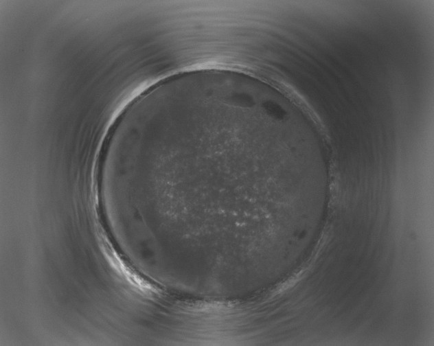 X0000078280892200611031205