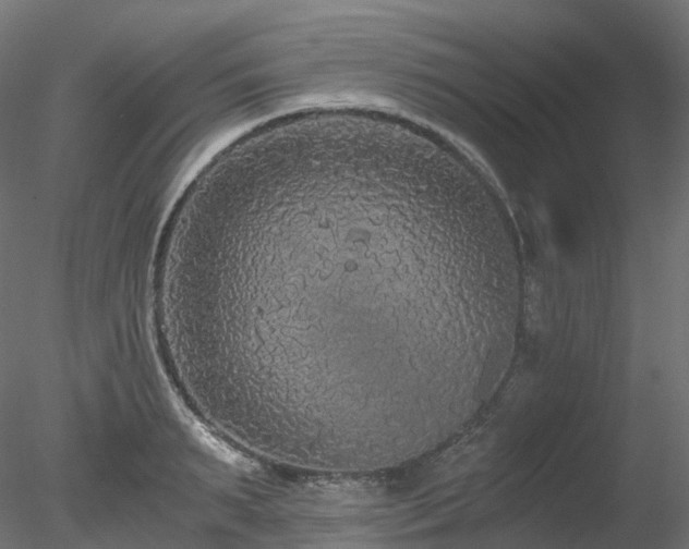 X0000078280895200611031205