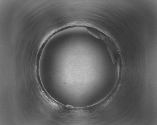 X0000078280896200611031205