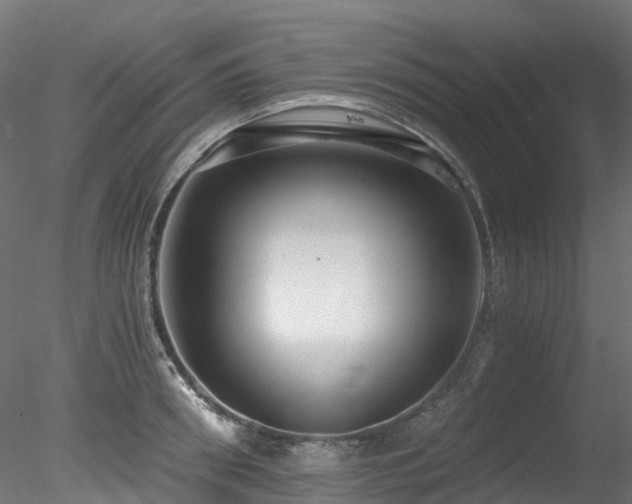 X0000078280898200611031205