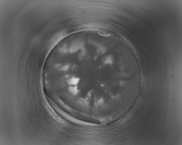 X0000078280899200611031205