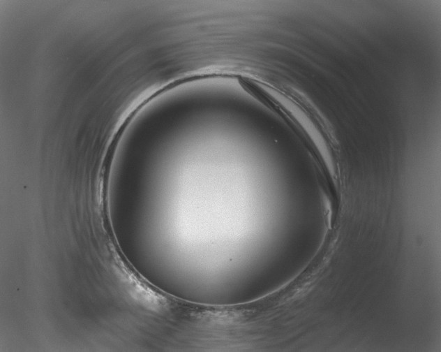 X0000078280900200611031205