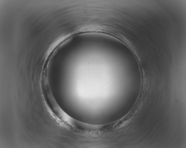 X0000078280901200611031205