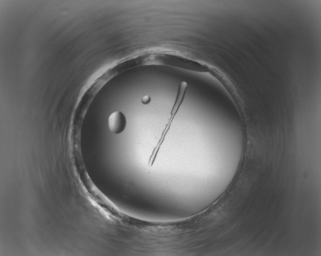 X0000078280902200611031205