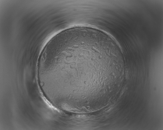 X0000078280903200611031205