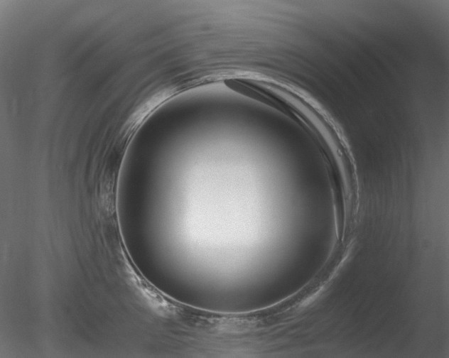 X0000078280905200611031205