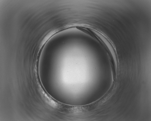 X0000078280906200611031205