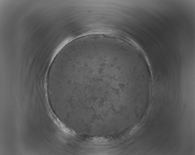 X0000078280907200611031205