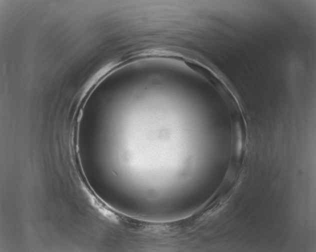 X0000078280909200611031205