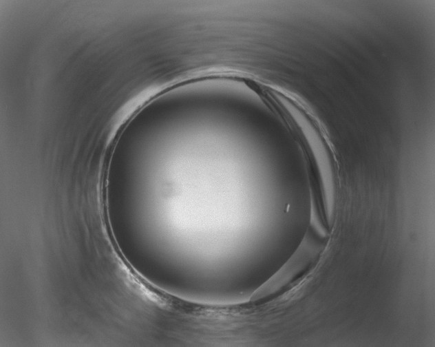 X0000078280910200611031205