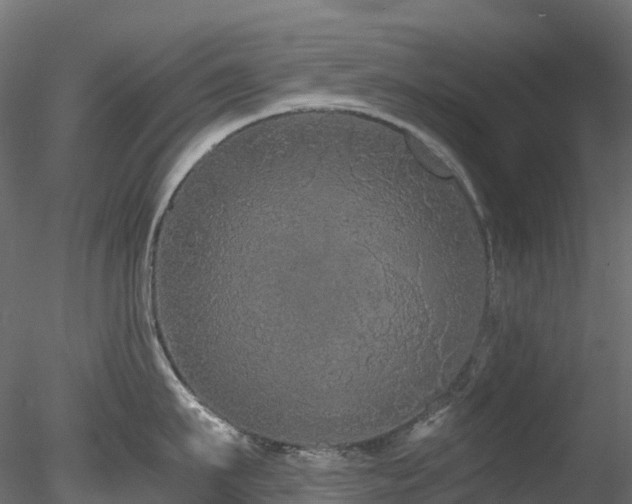 X0000078280911200611031205