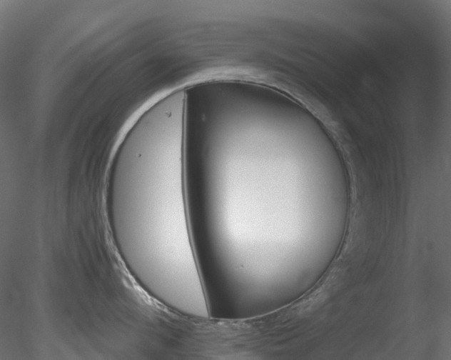 X0000078280912200611031205