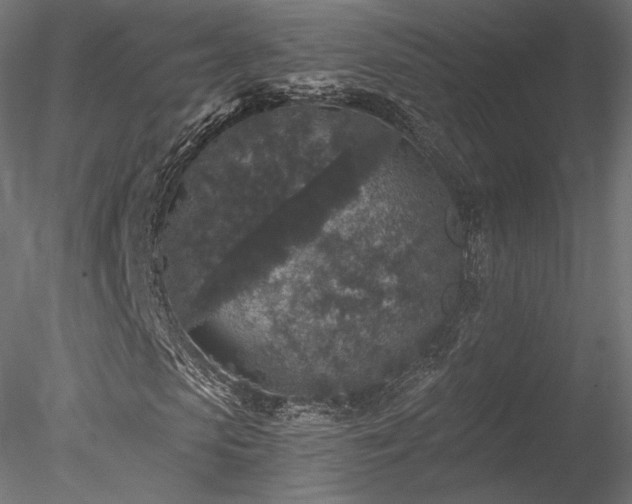 X0000078280913200611031204