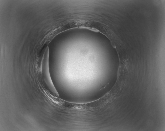 X0000078280914200611031204