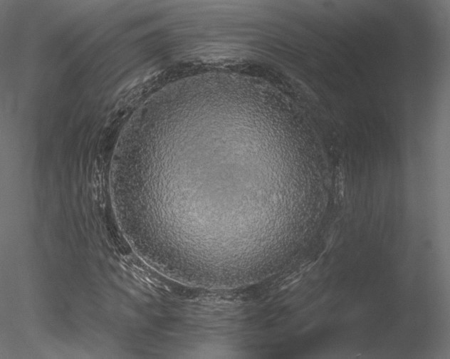 X0000078280917200611031204