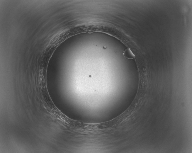 X0000078280918200611031204