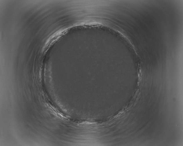 X0000078280920200611031204