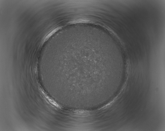 X0000078280921200611031204