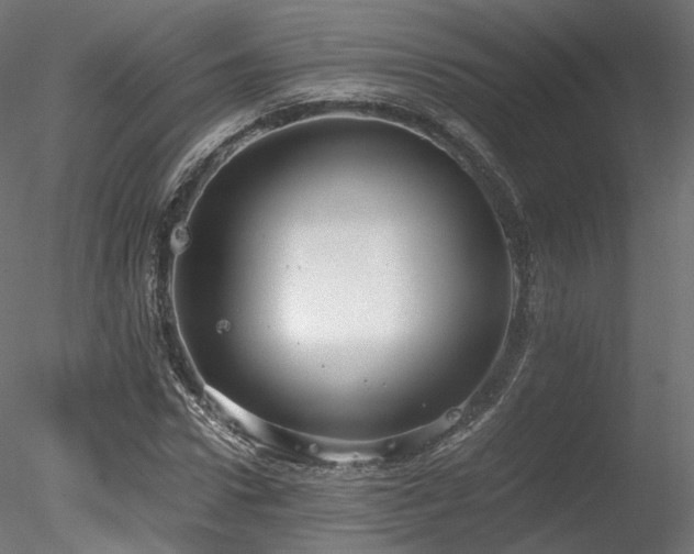 X0000078280922200611031204