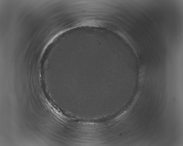 X0000078280923200611031204