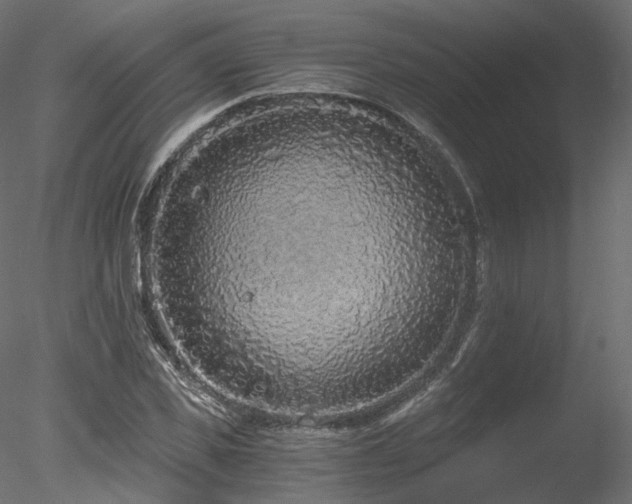 X0000078280925200611031204