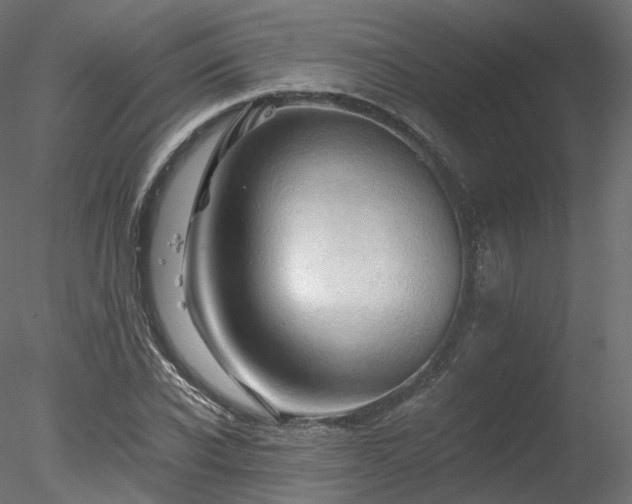 X0000078280926200611031204