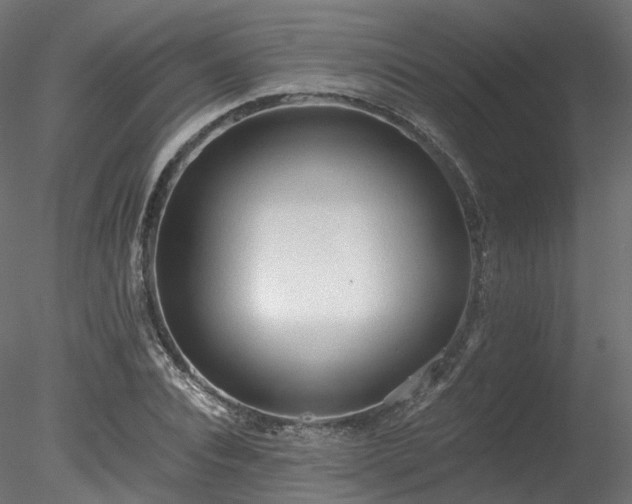 X0000078280928200611031204