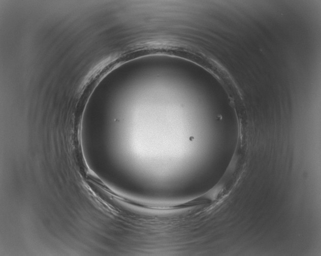 X0000078280930200611031204