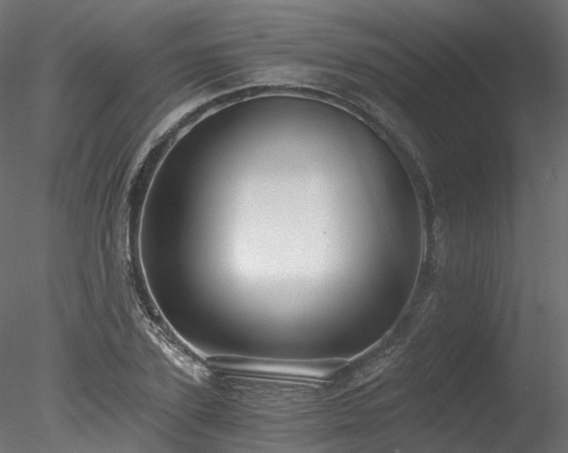 X0000078280931200611031204