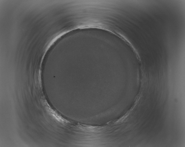 X0000078280932200611031204