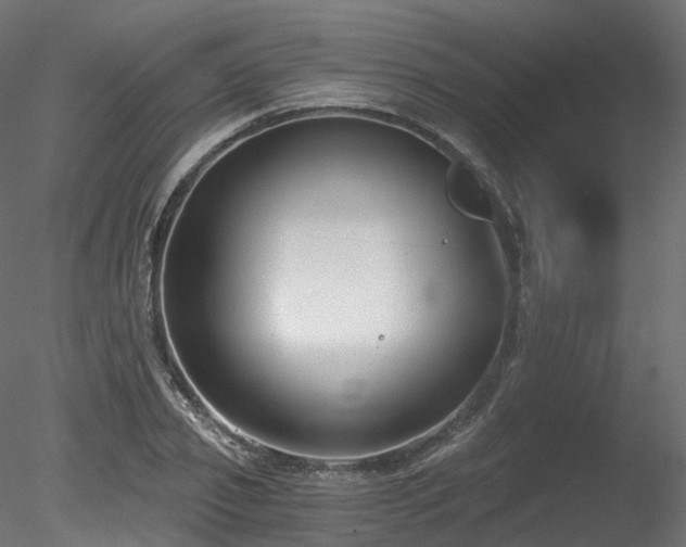 X0000078280933200611031204