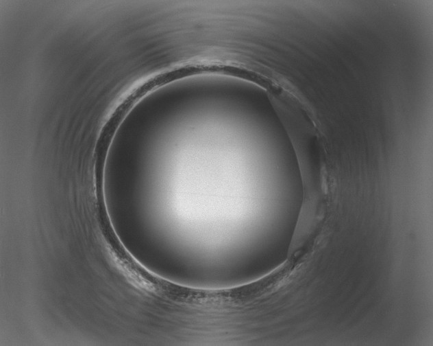 X0000078280934200611031204