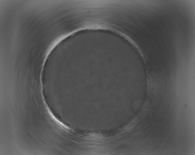 X0000078280935200611031204