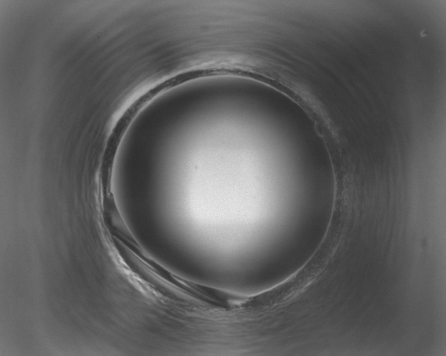 X0000078280936200611031204