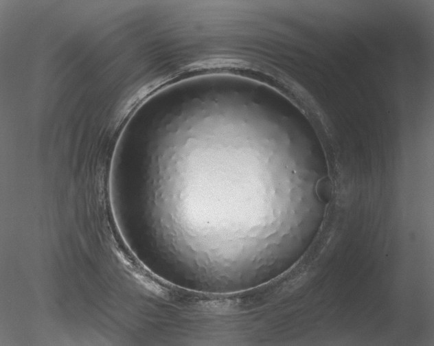 X0000078280937200611031204