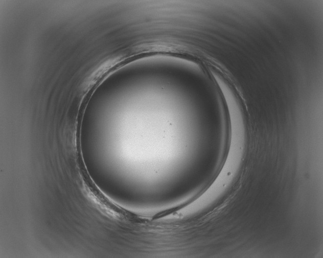 X0000078280938200611031205