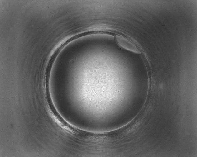 X0000078280939200611031205