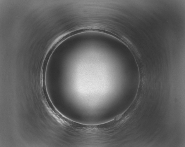 X0000078280940200611031205