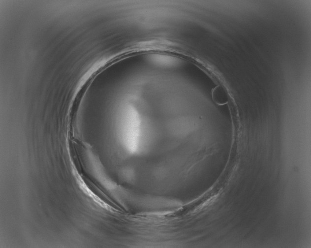 X0000078280941200611031205