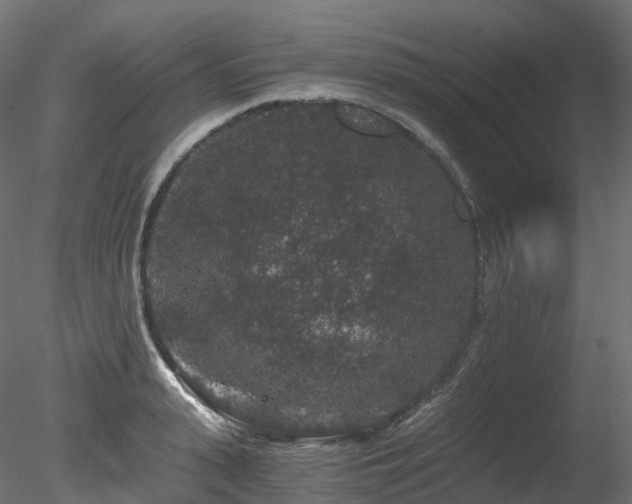 X0000078280943200611031205