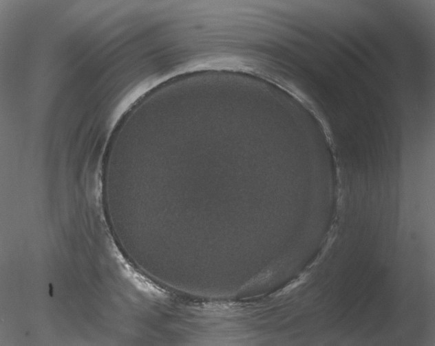 X0000078280944200611031205