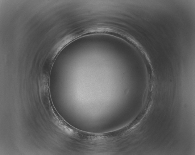 X0000078280945200611031205