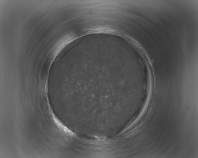 X0000078280946200611031205