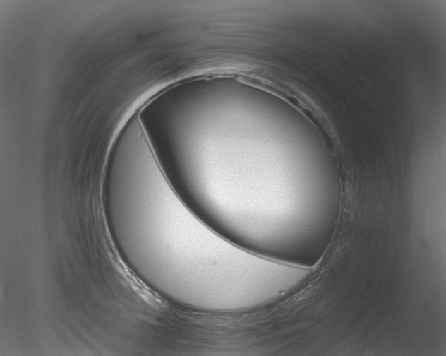 X0000078280948200611031205