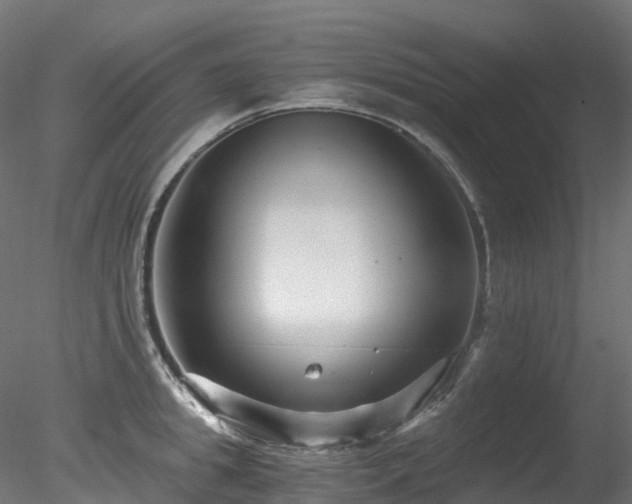 X0000078280949200611031205