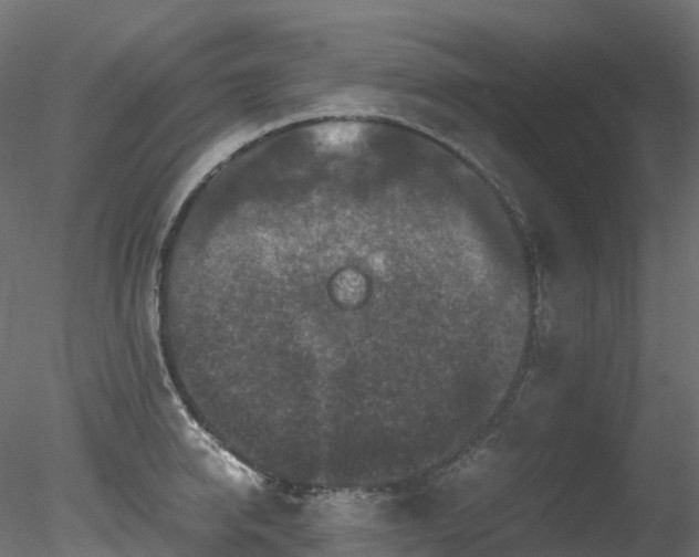 X0000078280950200611031205