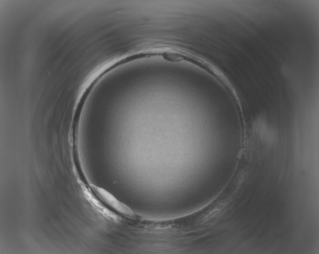 X0000078280951200611031205